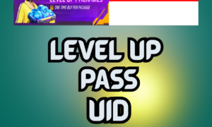 Level up package (Indonesia server)