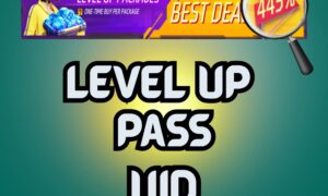 Level up package (BD server)